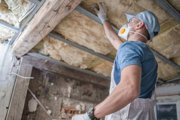 Best Cellulose Insulation in Machias, WA
