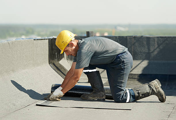 Best Insulation Maintenance and Repair in Machias, WA