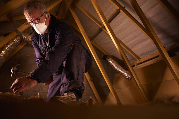 Best Eco-Friendly Insulation in Machias, WA